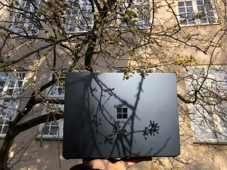 Træ symboliserer bæredygtighed og miljøvenlig refurbished IT