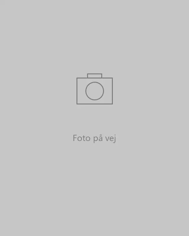 Heino, konsulent i Business Central hos A-one Solutions. Foto på vej